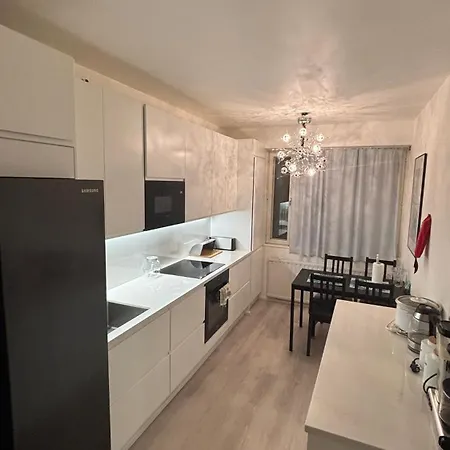 Spacious In The Center Of Apartman Turku